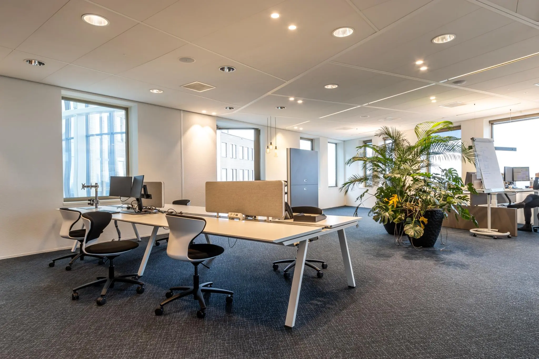 Moderne, open kantoorruimte aan de Fascinatio Boulevard met werkplekken, bureaustoelen, grote kamerplanten en veel natuurlijk licht.